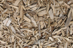 biomass boilers Camore